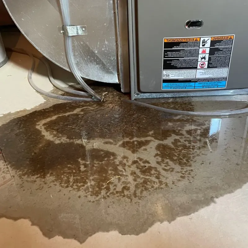 Pipe Burst and Leak Restoration in Grosse Pointe Woods, MI